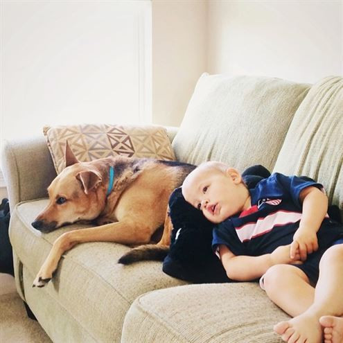 Muhteşem dostluk! - Resim: 3