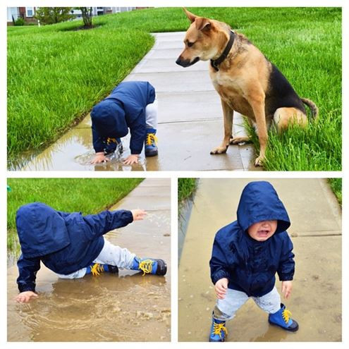 Muhteşem dostluk! - Resim: 4