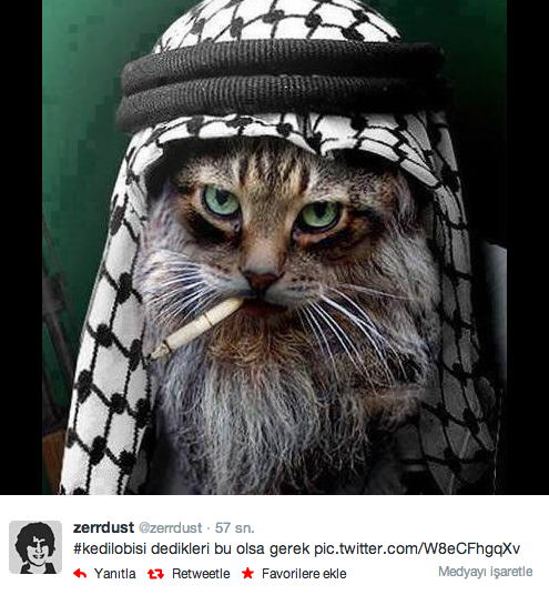 Elektiriği kesen 'Kedi lobisi' Twitter'ı yıktı - Resim: 3