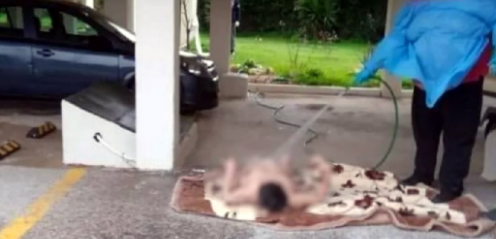 Ülke ayağa kalktı: Çırılçıplak soyup hortumla yıkadılar! Bakanlık harekete geçti - Resim: 0