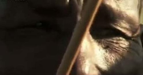 Vahşi hayatta işte 'o' an! - Resim: 4