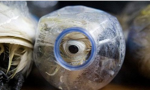 Böyle işkence görülmedi - Resim: 2