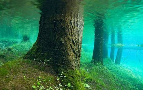 Bu görüntülerin dünyada eşi benzeri yok - Resim: 4