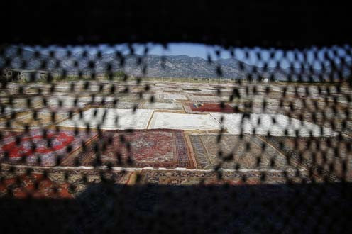 Önce güneşleniyor sonra dünyaya satılıyor - Resim: 1