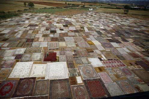 Önce güneşleniyor sonra dünyaya satılıyor - Resim: 3