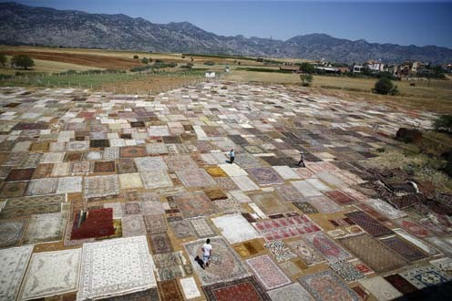 Önce güneşleniyor sonra dünyaya satılıyor - Resim: 4