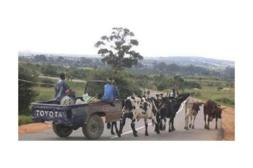 Afrika'dan gülümseten kareler - Resim: 1