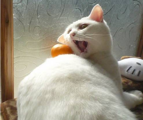 Bu fotoğraflara çok güleceksiniz - Resim: 1