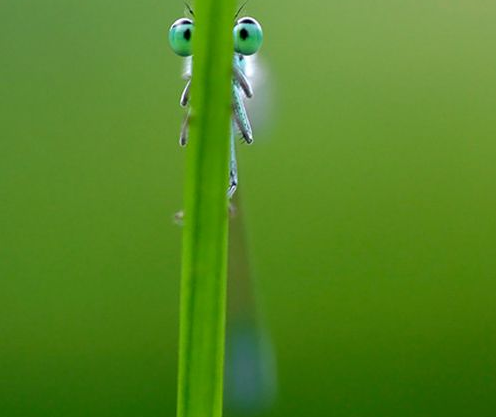 Tam o anda çekilen fotoğraflar - Resim: 4