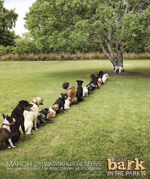 Reklam dünyasının maskotu olan "köpekler" - Resim: 2