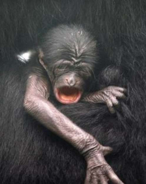 Günün en çok tıklananları - Resim: 3