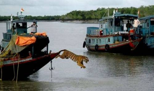 Yalan değil hepsi gerçek - Resim: 1