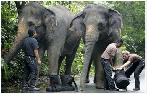 İnternette en çok tık alanlar - Resim: 1