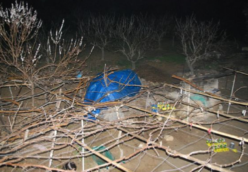 Bunlar Öcalan'ın doğum günü içinmiş - Resim: 4