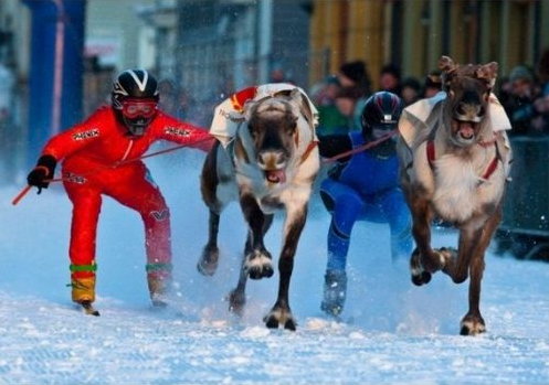 Yaratıcılıkta sınır tanımayan fotoğraflar! - Resim: 3