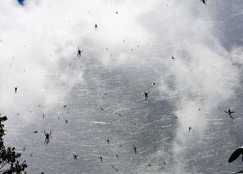 Başlarına bir taş yağmadığı kaldı - Resim: 1