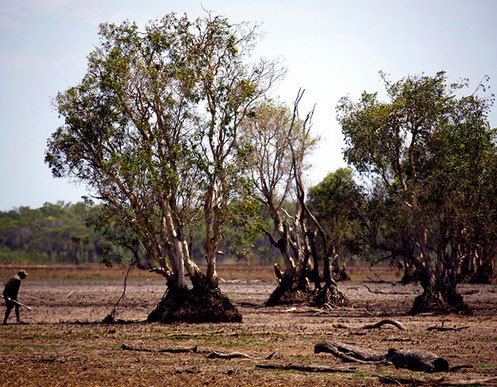 Aborjinler avlanırken ilk kez görüntülendi - Resim: 3