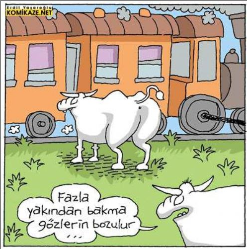 Günün en eğlenceli karikatürleri - Resim: 2