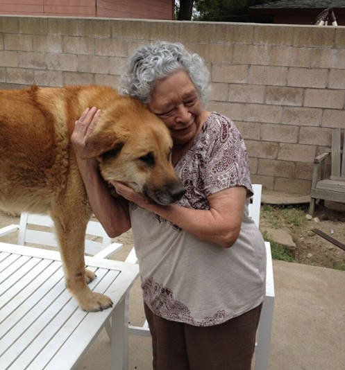 Günün en çılgın fotoğrafları - Resim: 3