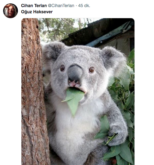 Oğuz Haksever'in Yassıada sözleri Twitter'da olay oldu - Resim: 4