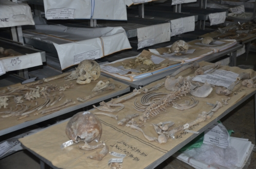 Bosna'daki en büyük toplu mezardan yüzlerce ceset çıkarıldı - Resim: 1