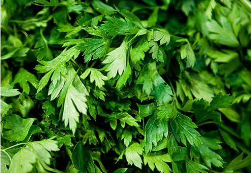 Cinselliği artıran bitkiler - Resim: 3