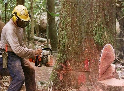 internetin aleminin en doğal fotoğrafları - Resim: 1