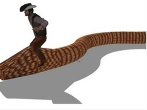 Dev piton ineği yuttu! - Resim: 3