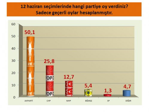 Seçim sonrası ilk anket - Resim: 2
