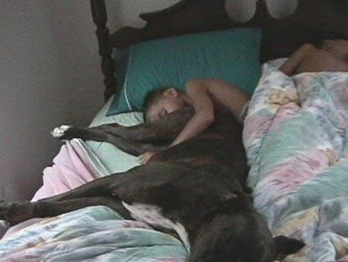 Tam zamanında çekilmiş fotoğraflar - Resim: 1