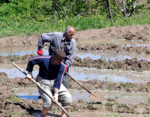 Terörün ardından Hakkari - Resim: 3