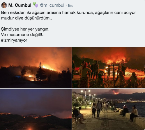 Haluk Levent'in ağaç kampanyasına Tunç Soyer ve Halil Sezai destek verdi - Resim: 4