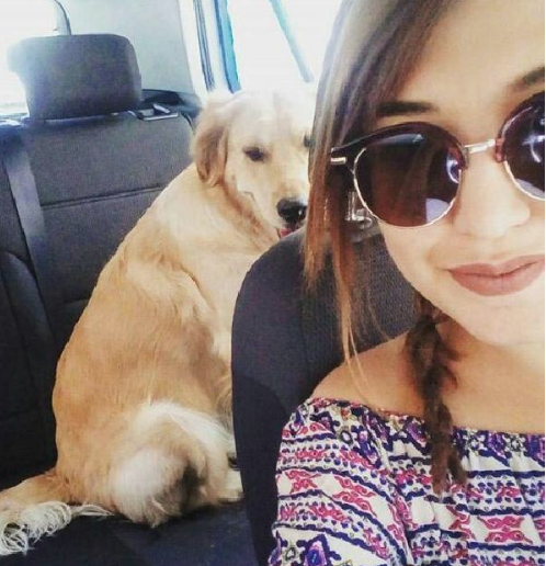 Sahiplerinin arasında kalan köpek mahkemelik oldu dava ertelendi - Resim: 3