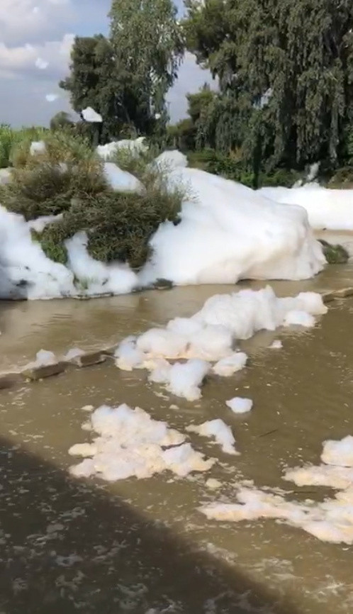 Enteresan görüntüler! Tarsus'ta dere köpürdü - Resim: 0