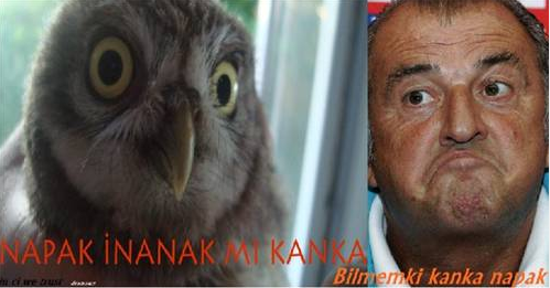 Bu fotoğraflar sanal alemde rekor kırıyor - Resim: 4