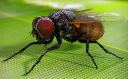 Bu bilgilere çok şaşıracaksınız! - Resim: 1