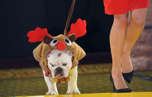 Günün tıklanma rekoru kıran kareleri - Resim: 3