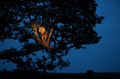 İşte 2011 yılının en iyi fotoğrafları - Resim: 3