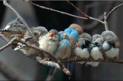 Fotoğraf çekmek yetenek ister - Resim: 4