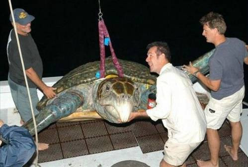 Yok artık dedirten dünyanın en ilginç fotoğrafları - Resim: 1