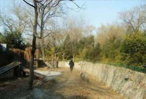 Hayvanların insanlara saldırdığı anlar - Resim: 4