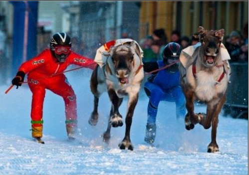 İnternetin en komik kareleri - Resim: 2