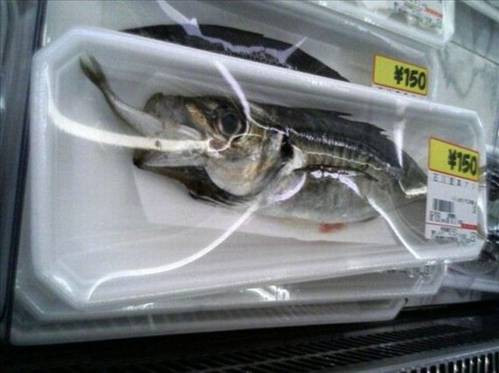 Yok artık dedirten dünyanın en ilginç fotoğrafları - Resim: 3