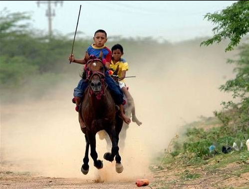 internetin aleminin en doğal fotoğrafları - Resim: 2