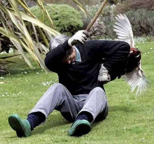 Hayvanların insanlara saldırdığı anlar - Resim: 3