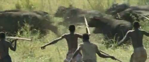 Afrika 'da inanılmaz katliam! - Resim: 1