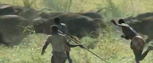 Afrika 'da inanılmaz katliam! - Resim: 2