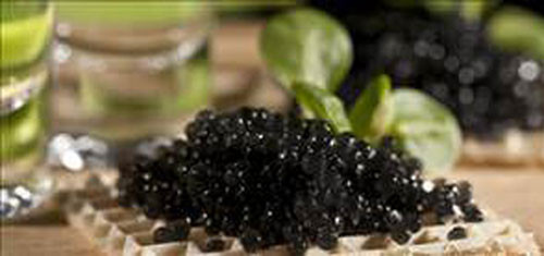 Dünyanın en pahalı yiyecekleri - Resim: 2