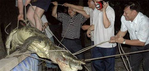 İnsan yiyen hayvanlar - Resim: 2