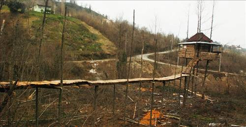 Ağacın üzerine ev yaptı - Resim: 3